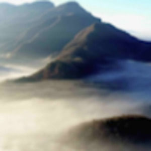 Meet your Posher, Graham